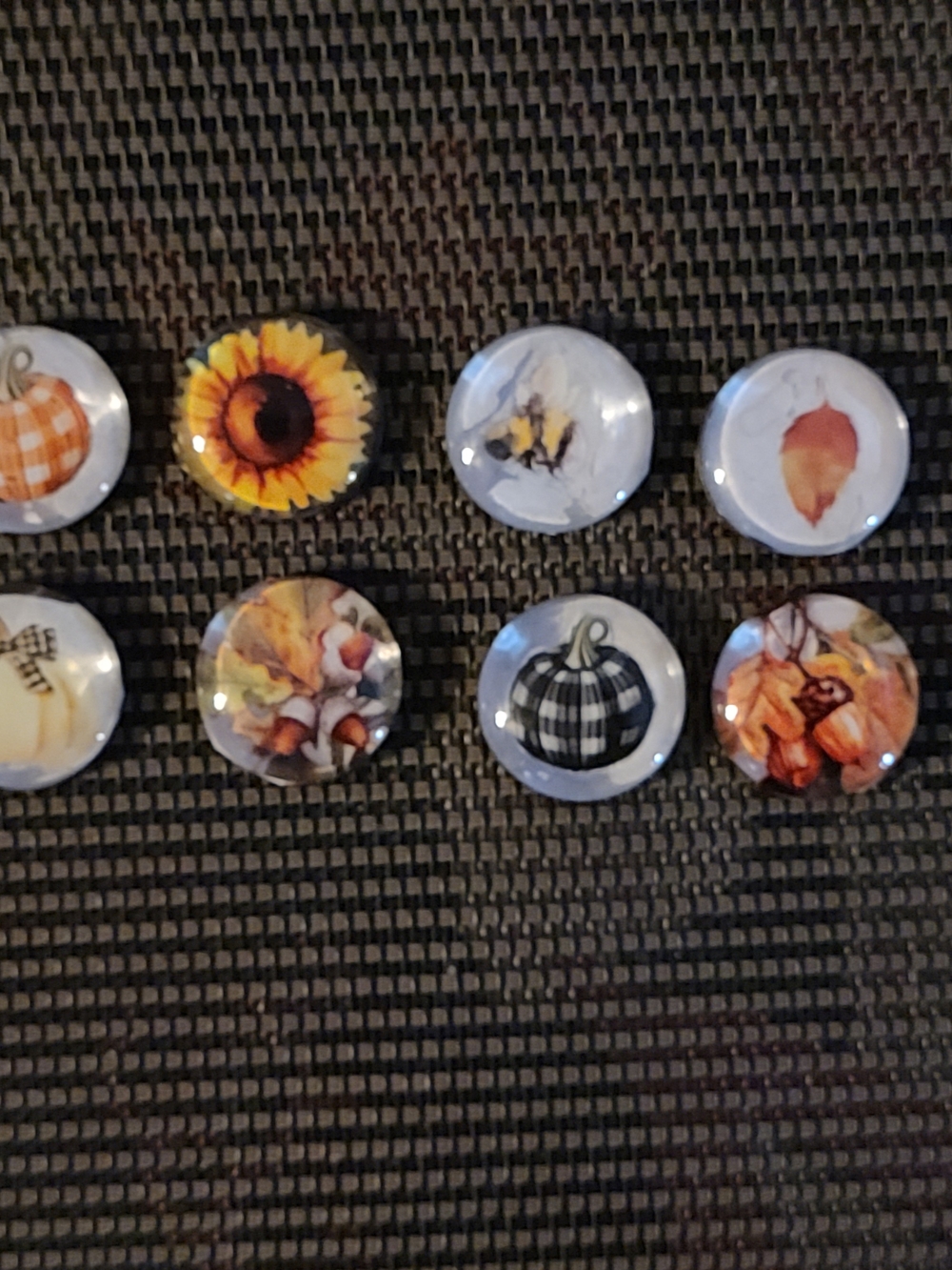 Autumn Decorative Magnets- Fall Floral & Pumpkin Set